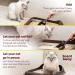 SCENT AWAY Cat litter Deodorizer Litter Box Odor Eliminator | Fragrance Free Cat Litter Deodorizer with ACTIVE CARBON | Eliminates Cat Odors and Smells to Keep Your Home Fresh and Clean (Pack of 1) 310.52 ml (Pack of 1) - Buy Online on GoSupps.com