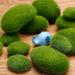 TecUnite 20-Piece Artificial Moss Rocks - Faux Green Moss Covered Stones in 5 Sizes - Buy Online on GoSupps.com