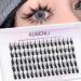 AUGENLI Manga Lashes Individual Clusters False Lashes that Natural Look Like Extensions False Lashes Korean Beauty for Cosplay Anime Makeup Salon at Home (A02)