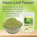 neotea Neem Leaf Powder 300 GM 10.58 OZ (Pack of 1) | 100% Pure & Natural | Fine Herbal Powder for Skin Hair & Wellness | No Additives or Preservatives - Buy Online on GoSupps.com