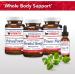 Buy Physician's Strength Wild Sage Oil - 1 fl oz | Natural Chemical-Free - 549 Servings - International Shipping Available - Buy Online on GoSupps.com