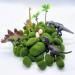 DUENEW Artificial Moss Rocks - 40PCS Decorative Moss Balls for Plants, Home Decor & Crafts - Green Moss Covered Stones in 4 Sizes - Buy Online on GoSupps.com