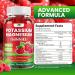 Potassium Magnesium Gummies Potassium Gummies Sugar Free for Adults Kids High Absorption Potassium Magnesium Supplement with Zinc Sugar Free(Raspberry Flavor 60 Count) - Buy Online on GoSupps.com