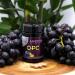 Ancevia OPC Grape Seed Extract - 60 Laboratory-Tested Capsules with 200 mg Pure OPC from French Grapes | International Shipping Available - Buy Online on GoSupps.com
