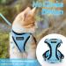 Rabbitgoo Cat Dishes & Leash Software | Premium Cat Harnesses & Sets for Ultimate Comfort - Buy Online on GoSupps.com