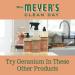 Mrs. Meyer's Geranium Multi-Surface Cleaner Concentrate - 32 oz, Pack of 2 | Eco-Friendly Floor & Tile Cleaner - Buy Online on GoSupps.com