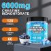 Creatine Monohydrate Gummies 5000mg - Sugar Free Vegan 120 Chewable Gummies for Muscle Support & Energy Boost - Blueberry Flavor - Buy Online on GoSupps.com