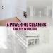 Eco Family Floor Cleaning Tablets Refill (6x 8g) | Grapefruit Scent | Non-Toxic & Cruelty-Free | For All Floors - Buy Online on GoSupps.com