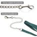 Buy Safe 2.10m Horse Guide - Durable Iron Chain & Nylon Handle for Stallion Pony & Donkey - Dark Green - Buy Online on GoSupps.com