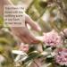 Jurlique Rose Hand Wash - Nourishing Natural Cleanser for Soft Hands | International Shipping Available - Buy Online on GoSupps.com