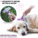 Poodle Pet Dog Grooming Rake | Dematting Tool with Stainless Steel Comb | Removes Loose Hair | Purple Handle - Buy Online on GoSupps.com