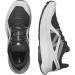 Salomon Ultra Flow Men's Trail Running Shoes - Comfort & Damping | Size 42 2/3 EU - Black Glacier Gray - Buy Online on GoSupps.com
