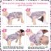 Kuoser Dog Surgical Recovery Suit  Pet Leopard Printed Recovery Shirt Dog After Surgery Vest for Abdominal Wounds Skin Disease  E-Collar & Cone Alternative  Prevent Licking Dog Onesies X-Large (Back:20.1-24.8''  Weight:42-75 LB) Pink - Buy Online on GoSupps.com