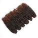 12 Inch Short Passion Twist Hair Marlybob Crochet Hair - 6 Bundles 12 Kinky Curly Crochet Hair for Black Women - Buy Online on GoSupps.com