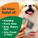 Zyrtec Allergy Liquid Gels 24 Hour 40 Count (Pack of 2) - Fast Relief for Allergies - Buy Online on GoSupps.com