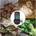 Buy Aiicioo Aquarium Thermo-Hygrometer | Digital Thermometer & Hygrometer for Terrariums & Greenhouses | Battery-Operated Reptile Nurse - 1-Pack - Buy Online on GoSupps.com