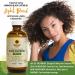 Jamaican Black Castor Oil Light Blend 4oz - Natural Lightweight Oil for Hair & Skin | Seals Moisture, Controls Frizz | Plant-based Formula | 4 Fl Oz - Buy Online on GoSupps.com