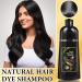 Black Hair Dye Shampoo for Women - Magic Instant 3 in 1 Color Nourishing & Long Lasting Gray Coverage - 100ml - Buy Online on GoSupps.com
