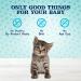 Blue Buffalo Baby Blue Salmon Kitten Treats 2oz - Grain Free & Natural - Buy Online on GoSupps.com