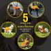 4Legriend Dog Security Vest - High Visibility Blaze Orange XL | Outdoor Safety for Dogs - 5 Sizes Available - Buy Online on GoSupps.com