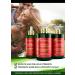 Botanical Hair Growth Treatment | Thickening Shampoo & Anti-Thinning Conditioner | Scalp Detox with Cayenne & Saw Palmetto for Men & Women - Buy Online on GoSupps.com