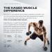 Buy Kaged Muscle PRE-KAGED Pre-Workout Primer - Pink Lemonade 1.30 lb (588g) for Energy & Focus - Buy Online on GoSupps.com