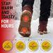 20 Pairs of Adhesive Insole Foot Warmers - Up to 10 Hours of Heat - Ultra Thin & All Natural - Odorless Hot Insole Warmers for Sport Temp - Buy Online on GoSupps.com