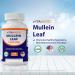 3 Pack - Vitamatic Mullein Leaf 1000mg - Supports Respiratory & Immune Health - 200 Capsules - Buy Online on GoSupps.com