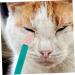 BESPORTBLE 2pcs Eye Gum Cleaner Dog Eye Cleaner Comb Pet Tear Marks Brush Kitten Cleaning Brush Cat Eye Comb Pp 10.00X3.20X1.00CM Assorted Color - Buy Online on GoSupps.com