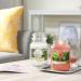 Yankee Candle Camellia Blossom | Garden Hideaway Collection | Large Candle | Up to 150 Hours Burn Time | International Shipping Available - Buy Online on GoSupps.com