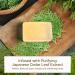 ARWIN Phytoncid Transparent Soap - Natural Face & Body Soap for Sensitive Skin (180g) - Deep Cleansing & Refreshing Scent - International Shipping Available - Buy Online on GoSupps.com