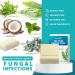 pureskin Calming Cream + Tea Tree Sulfur Soap 2-Pack Bundle 2-Piece Set for Oily Flaky or Blemish-Prone Skin - Buy Online on GoSupps.com
