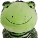 Rosewood FROGGY LONG LEGS Green Froggy Long Legs One Size (Pack of 1) - Buy Online on GoSupps.com