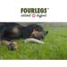 Buy Fourles Natural Kausnack for Dogs 100% Deer Antlers XL 5-Pack | Healthy Chewing Treats with Minerals and Cotton Stuff - Buy Online on GoSupps.com