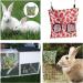 2 Pcs Rabbit Hay Feeder Rabbit Accessories Hay Bag Straw for Rabbits Guinea Pig Hay Feeder Hay Feeder Guinea Pig Guinea Pig Guinea Pig Hay for Guinea Pigs Feeding Hay Guinea Pig Hay Bag with 2 Holes - Buy Online on GoSupps.com