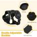 CatRomance XS Black Cat Harness: Escape Proof, Breathable Mesh, Adjustable with Leash Set and Reflective Strips - Buy Online on GoSupps.com