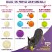 Chew King Fetch Balls Pack of 3 - Durable Dog Toy Balls - Buy Online on GoSupps.com