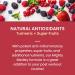 Fruniti Mighty Medley (Antioxidant + SuperFruit) Smoothie Mix - Tumeric  Acai  Goji  Elderberry and Blueberries  Pomegranate  Grape Skin  Apple & Pineapple - Makes Up To 2412 oz. Smoothies Superfruit Smoothie Mix 48 Fl Oz (Pack of 1) - Buy Online on GoSupps.com