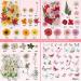Dried Pressed Flowers for Resin & DIY Crafts - 185 Pcs Natural Dry Flowers with Plastic Case & Butterflies Yellow - Buy Online on GoSupps.com
