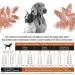 Dry Dog Food - No Corn or Soy - Protein Rich - Puppy Food - Adult Dog Food by Lily & Jax (Chicken 2 kg (Pack of 1)) Chicken 2 kg (Pack of 1) - Buy Online on GoSupps.com