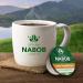 Nabob 1896 Tradition Coffee 100% Compostable Pods 117g (6 Boxes of 12 Pods) 1896 Tradition 12 Count (Pack of 6) - Buy Online on GoSupps.com