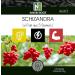 NAKURU | Schizandra | Boost Range | Made in France | Fruit with 5 Flavors! | (120 Capsules of 325mg / Net Weight: 39g) - Buy Online on GoSupps.com