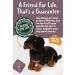 Living Nature Dachshund Eco-Friendly Plush Toy - Realistic Soft Cuddly Dog (28cm) - Buy Online on GoSupps.com