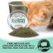From The Field Catnip Kitty Safe Stalkless Tub 10 oz - Premium Organic Catnip for Endless Fun - Buy Online on GoSupps.com