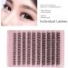 Individual Lashes DIY Synthetic Fibre Individual Lashes Cluster Thick Strong Adhesive for Makeup (DIY-SET-002) - Buy Online on GoSupps.com