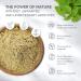 Kunatura Nettle Extract 10:1 - 200 High-Quality Capsules | 900mg Daily Dose No Additives | Effective Herbal Supplement - Buy Online on GoSupps.com