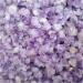 Amethyst Rough Stone 100g Bulk Lot Natural Rough Amethyst Cluster Gravel Quartz Crystal Raw Stone Healing Mineral (Size : 500g) - Buy Online on GoSupps.com