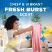 Arm & Hammer Odor Blasters In-Wash Scent Booster - Fresh Burst 37.8oz | International Shipping Available - Buy Online on GoSupps.com
