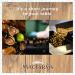 MacFarms Sea Salt Macadamia Nuts - 4 oz (Pack of 3) - Premium Hawaiian Nuts with Sea Salt - Healthy Snack Option - Buy Online on GoSupps.com