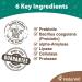 NaturVet Digestive Enzymes + Pre & Probiotics for Dogs - 70 Soft Chews (5.9 oz) - Buy Online on GoSupps.com